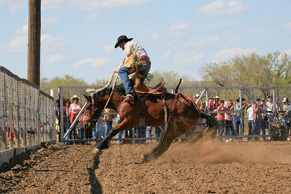 miles_city-2519-485