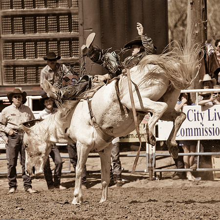 miles_city-2391-360