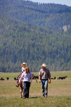 calf_branding_691