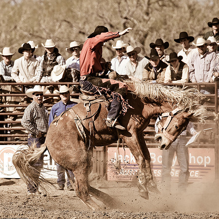 miles_city-1233-553