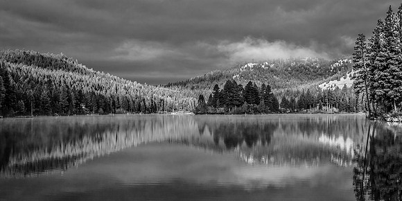 First Fall BSL bw-