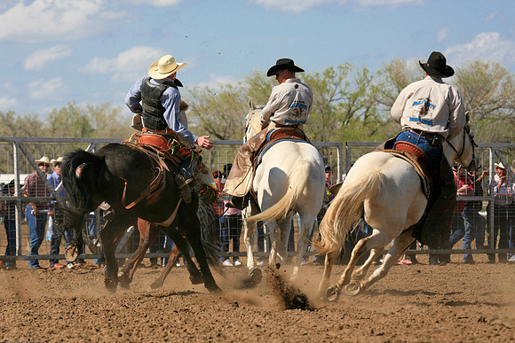 miles_city-2459-389