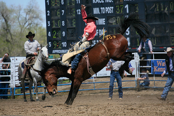Miles City-964-4