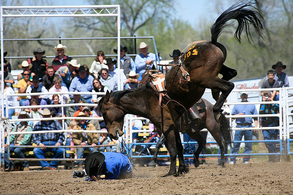 Miles City-979-18