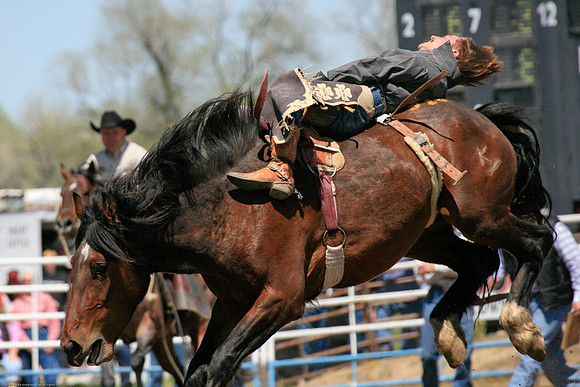 Miles City-994-30