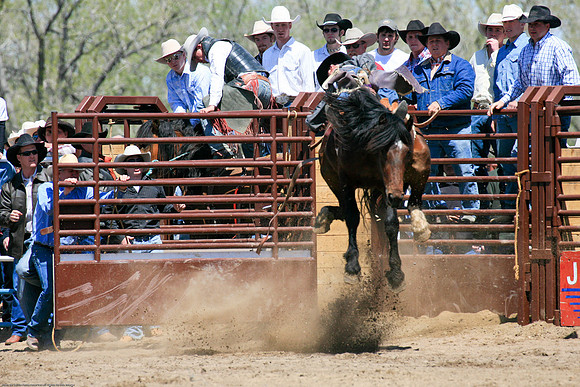 Miles City-983-20