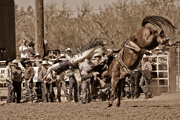 miles_city-2492-470