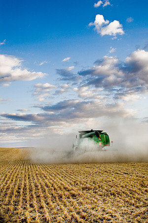 Big Sky Harvest-6