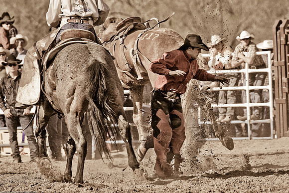 miles_city-1239-558