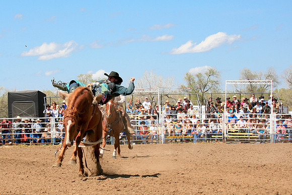 miles_city-2159-264