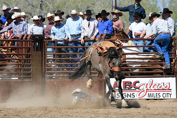 miles_city-2424-378