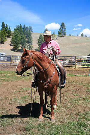 calf_branding_798
