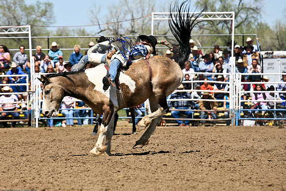 miles_city-1026-60