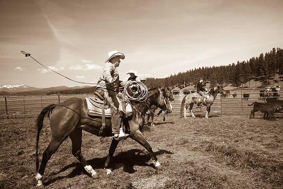 brandmor1_785