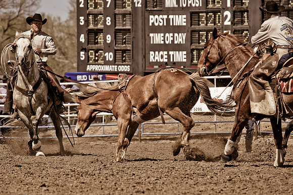 miles_city-2279-321