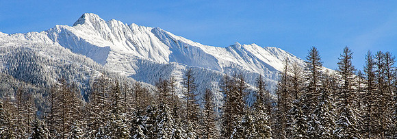 Wolverine Peak