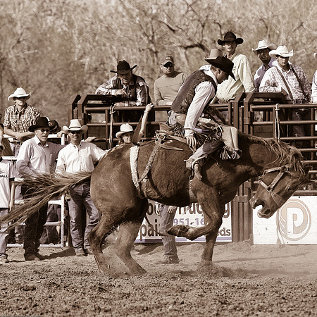 miles_city-1297-579