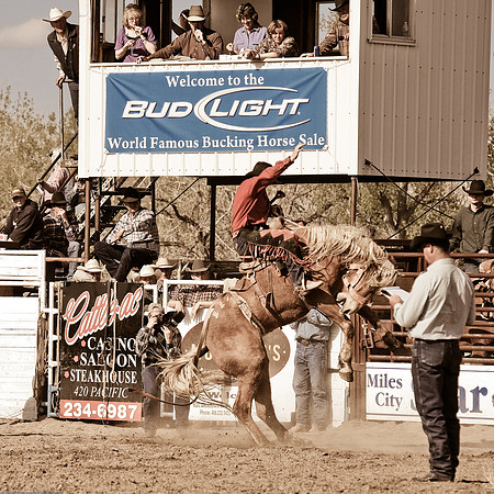 miles_city-1228-549
