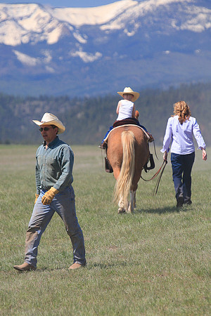 calf_branding_678