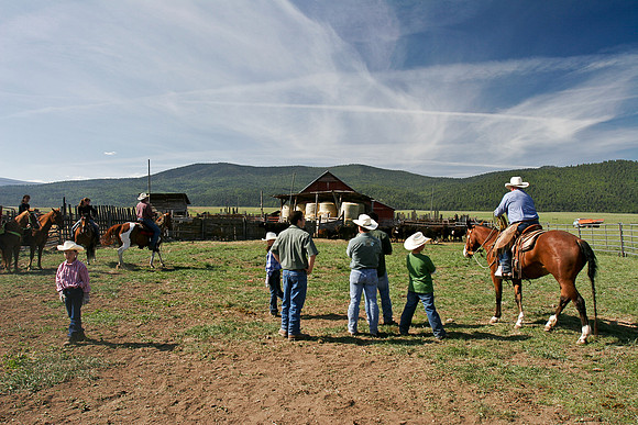 calf_branding_2_582