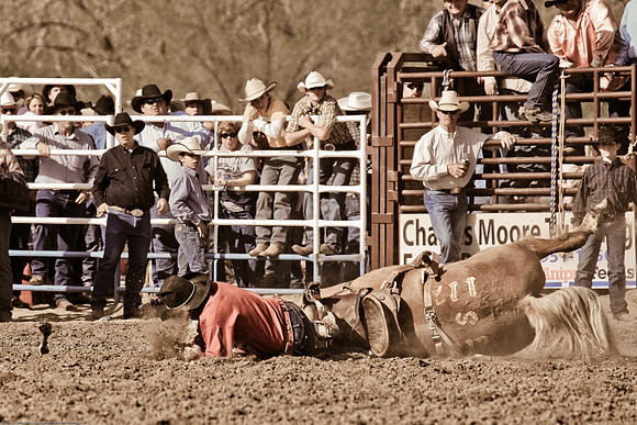 miles_city-1238-557