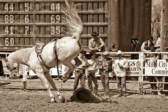 miles_city-2392-361