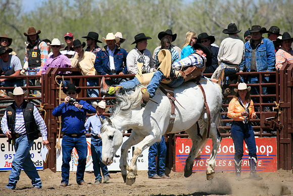 miles_city-2088-290