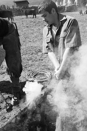 calf_branding_2_626