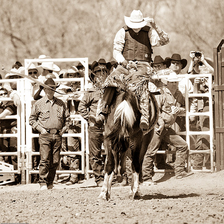 miles_city-2203-273