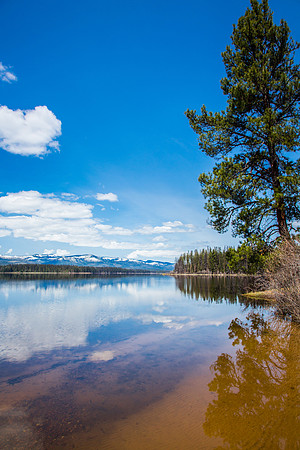 Big Larch Campground Seeley Lake.  MT 460