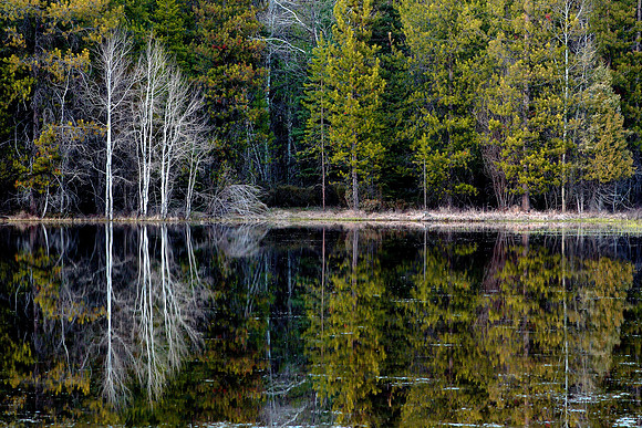 Mystic Spring