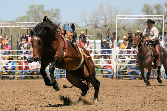 Miles City-996-31