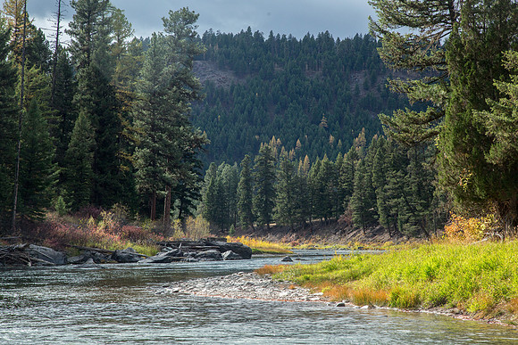 Blackfoot Fall Favorite