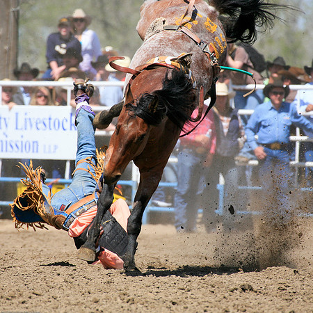 miles_city-2081-284