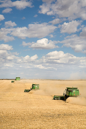 Heading for the Rockies, Big Sky Harvest-7