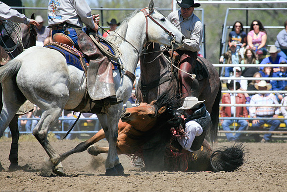 miles_city-1011-46