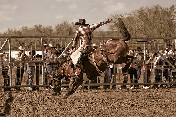 miles_city-2475-398
