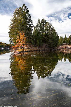 20091017-Fall Failure 62-Edit