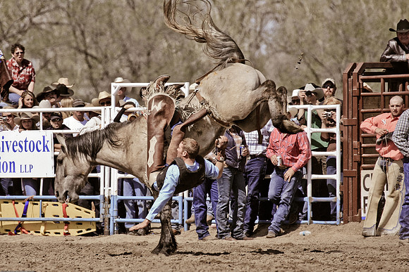 miles_city-2367-345