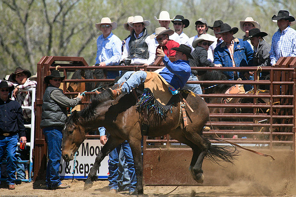 Miles City-975-14