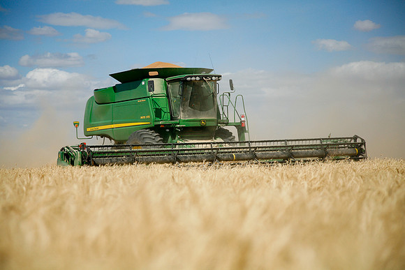 Stay Out of It's Way -                      Big Sky Harvest-8